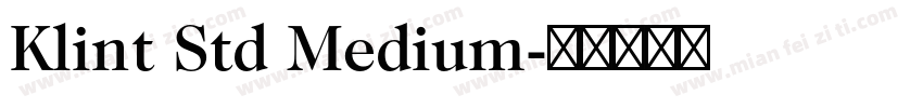 Klint Std Medium字体转换